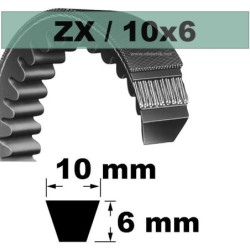 COURROIE TRAPEZOIDALE CRANTEE ZX22 1/4