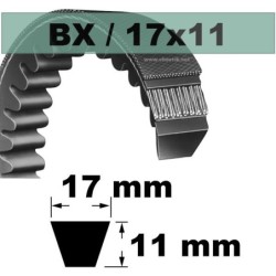 BX23