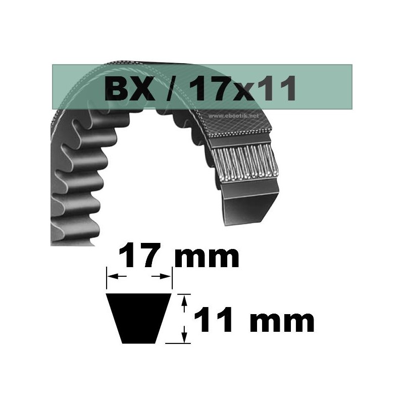 BX106
