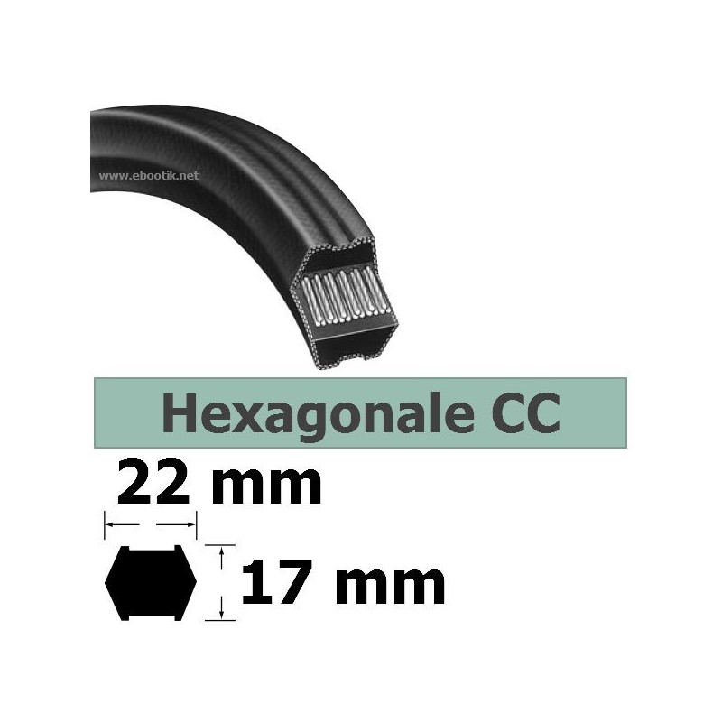CC81