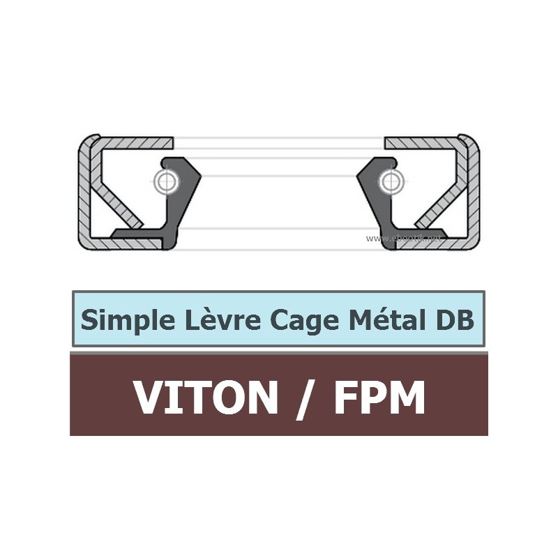 100X130X12 DB FPM/VITON 100X130X12 DB FPM/VITON