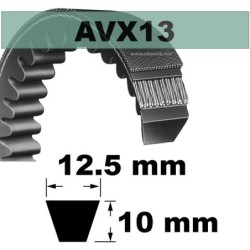 AVX13x1060