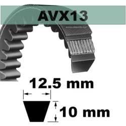 AVX13x1250