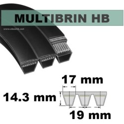 HB98x3 Brins