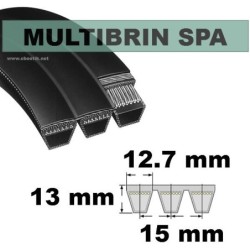 SPA1250x2 Brins