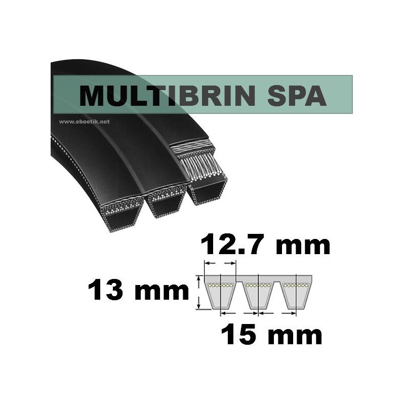 SPA2000x2 Brins