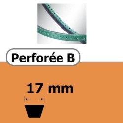 PERFOREE B 17 x 11 mm