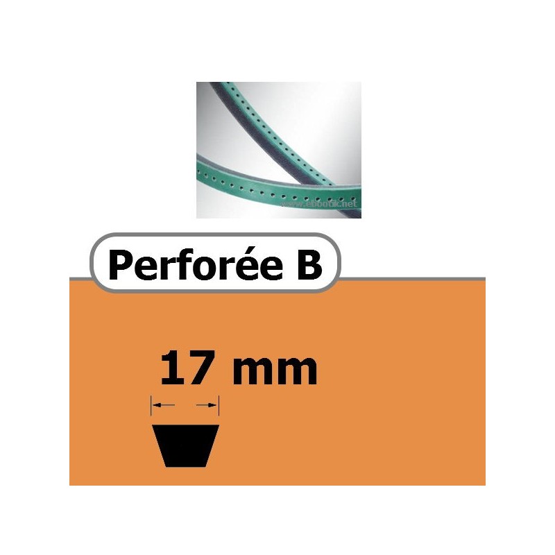 PERFOREE B 17 x 11 mm