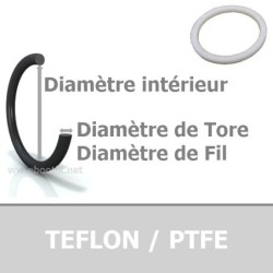 10.00x2.50 PTFE