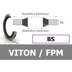 BS6.70x10.00x1.00 / 206 FPM