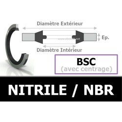 BSC22.70x30.00x2.00 / 874 NBR