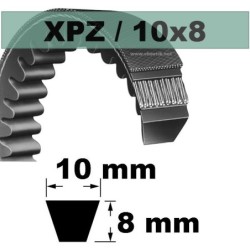 XPZ1012